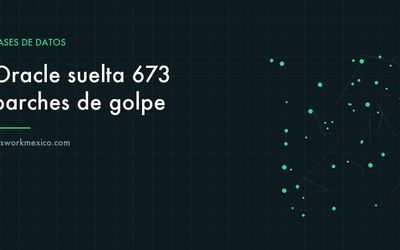 Consola de administración de una base de datos empresarial mostrando el estado de los parches aplicados