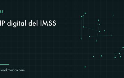 Responsable de nómina descarga un documento PDF desde el portal del IMSS en su computadora